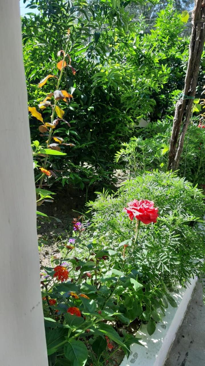 Guest House Emi Берат Екстер'єр фото