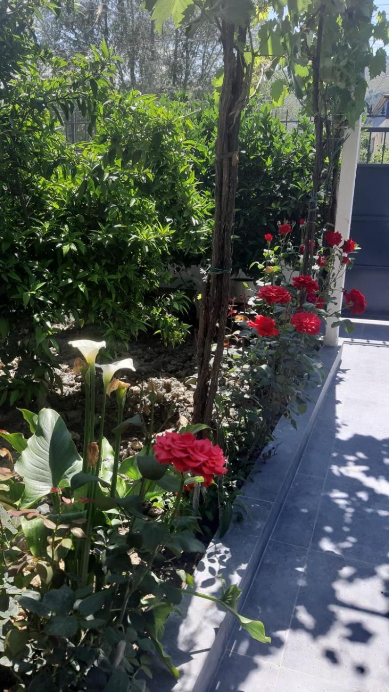 Guest House Emi Берат Екстер'єр фото